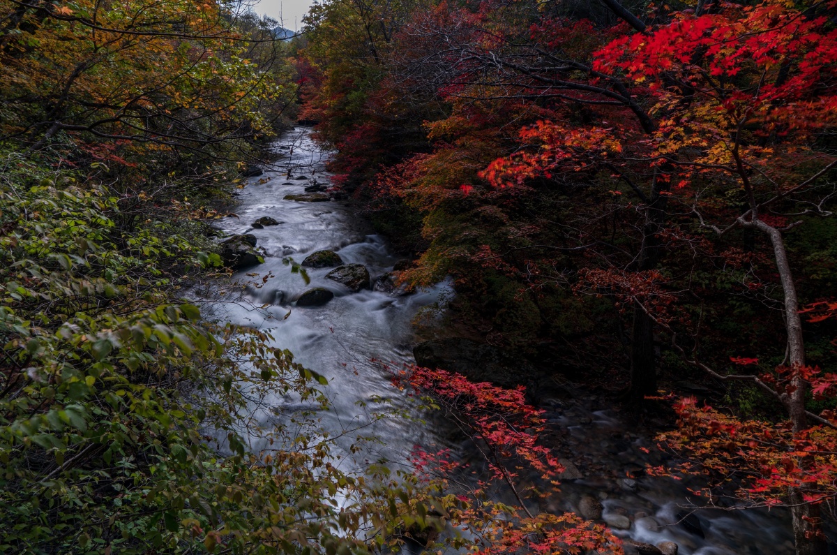 秀美老边沟枫落河梁野水秋