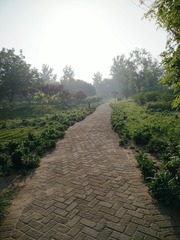 3092793