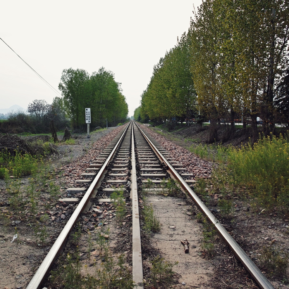 河南省新郑市城关乡朝杞线极为罕见的三轨铁路