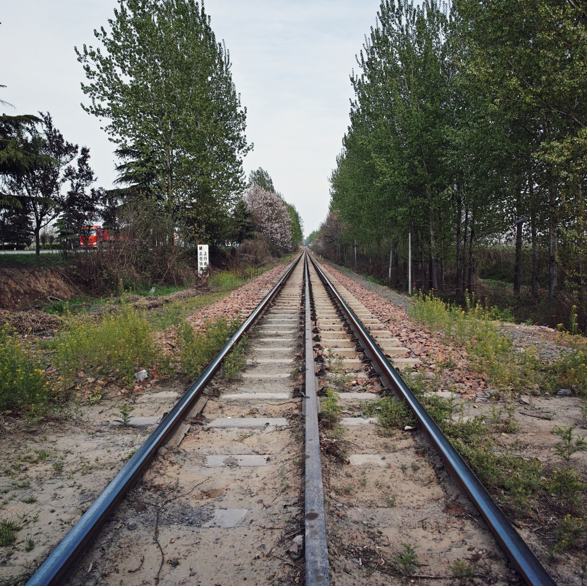 河南省新郑市城关乡朝杞线极为罕见的三轨铁路