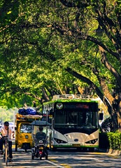 54037