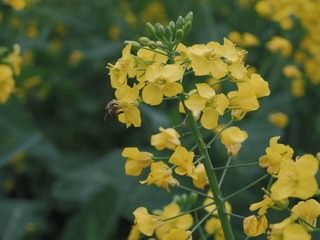 23D57FE6-6D69-454D-B323-8C9EAB4F8D47/L0/001