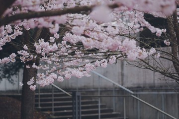 B4CDFC20-85C3-467D-A1A6-EE822E99730A/L0/001