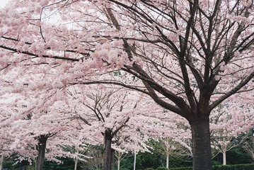 1F4766A7-D153-4E18-A662-15284FFAF8A8/L0/001