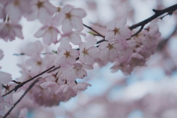 F94679D6-F516-4115-9A46-75C2D75C1355/L0/001