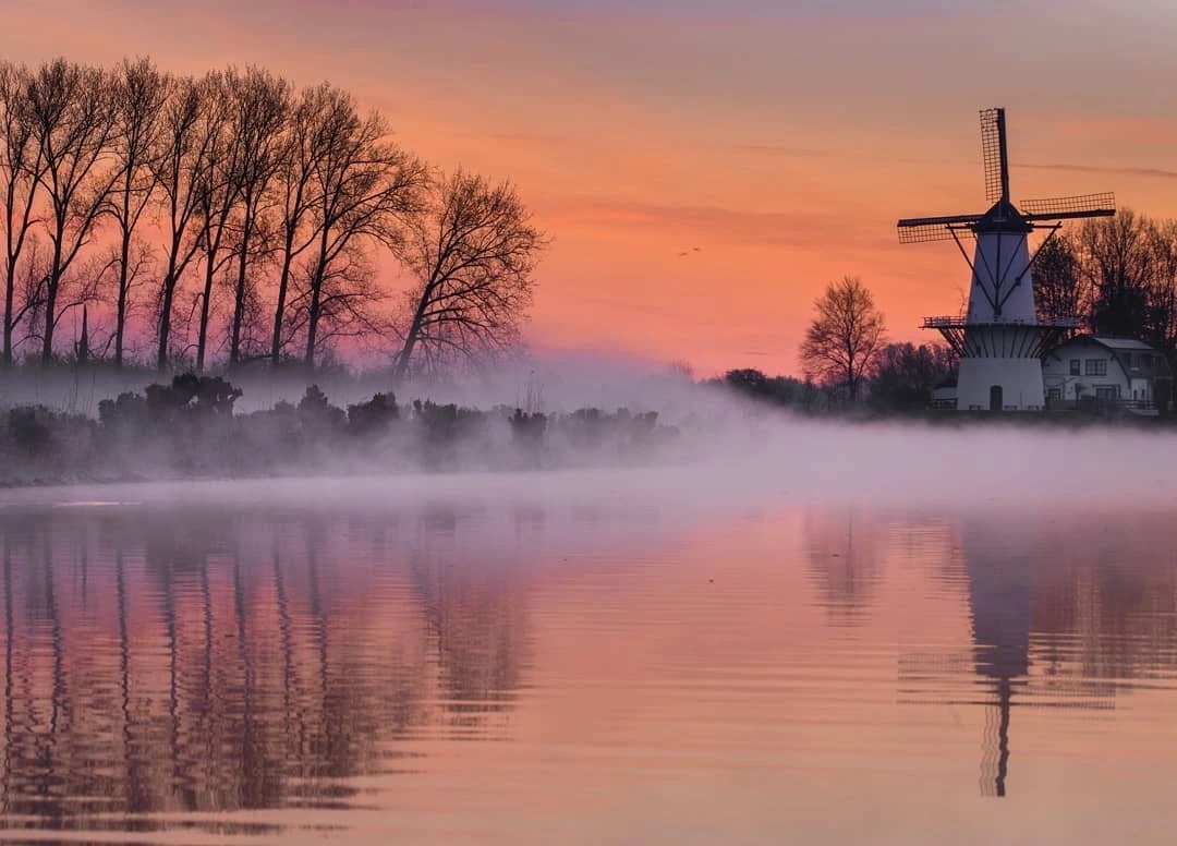 有一种美叫朦胧美