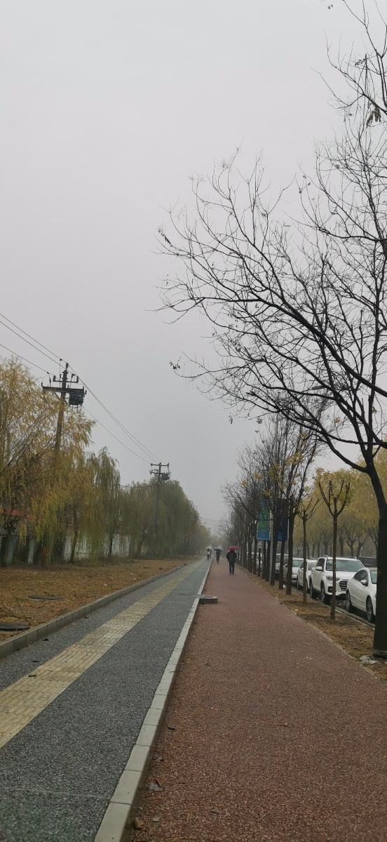 小雨小雪北京冬季的第一场雨雪