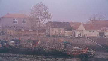 513779