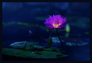 DSC00397-1