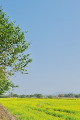 ED61BE6D-A81B-4D6D-B650-65010B854FD0/L0/001