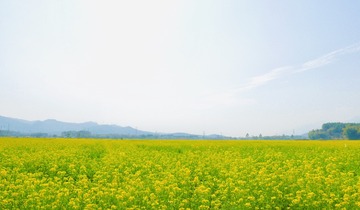 0B65B9E4-279E-4FA3-B976-1D561D91C96F/L0/001