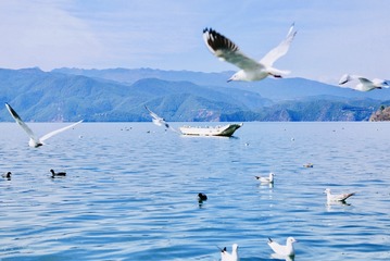 188BEE7D-602F-4621-9427-C80BF5B576EF/L0/001