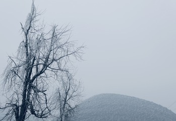 9C4C690B-9516-42B9-AC90-F2955875DD2D/L0/001