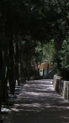640D2789-9F89-48B0-AA76-224521A72821/L0/001