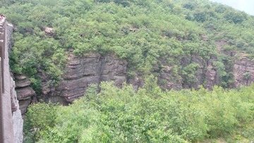 P1060153