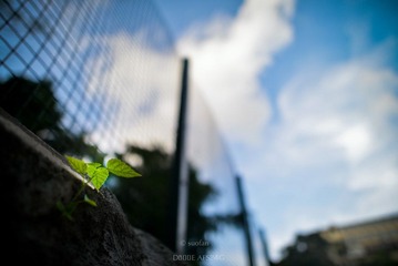 SUO_0594-1.jpg