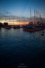 SUO_0879-1.jpg