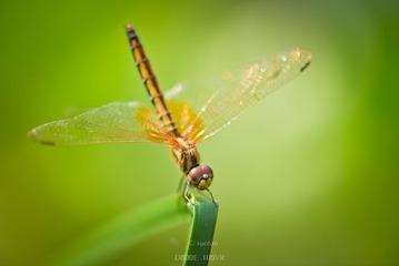 20121023-SUO_1455.jpg