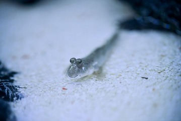 20121023-SUO_1475.JPG