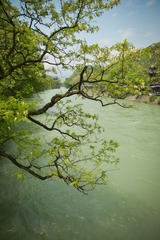 20130413-SUO_3247.jpg
