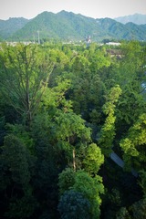 20130414-SUO_3344.jpg