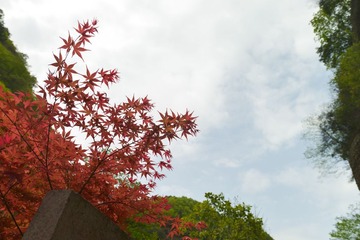 20130409-SUO_3010.jpg