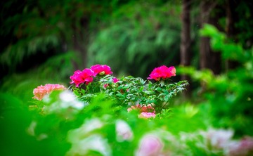F5D87D15-8614-4DD6-9AAE-992818E44842/L0/001