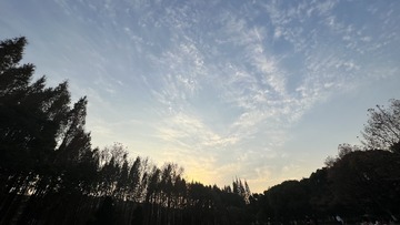 DAE5ED9B-693D-4C13-A03B-6077F035838C/L0/001