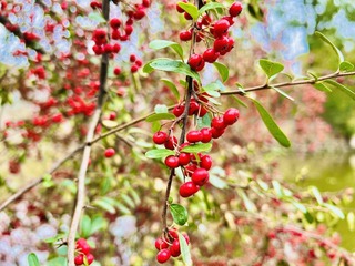 1F4BD0C4-1ABB-4B95-A06C-76DBE2EB2393/L0/001