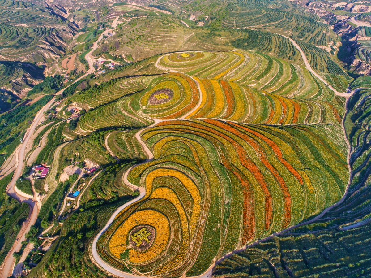 六盘山脚下的固原彭阳县第一届五彩梯田节有幸在最美的时光遇见