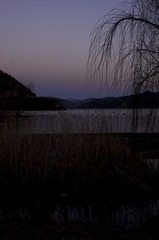 _ZYQ9017.jpg