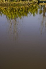_ZYQ9050.jpg