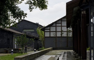 _ZYQ5453.jpg