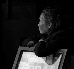 _ZYQ5507.jpg