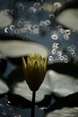 E937E480-513D-4DF8-BB36-3AEB5920FB32/L0/001