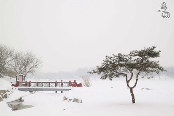 雪中小景