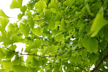 20100518-IMG_4112.jpg