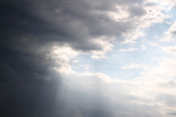 20100530-IMG_4320.jpg