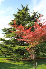 20100530-IMG_4356.jpg