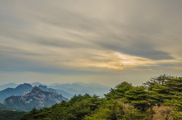_DSC8288