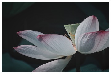 1420255