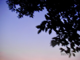 Optional("55EB670E-3F37-4380-974D-61FF1BD1BB63/L0/001")