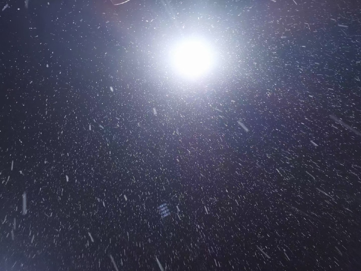 飘雪