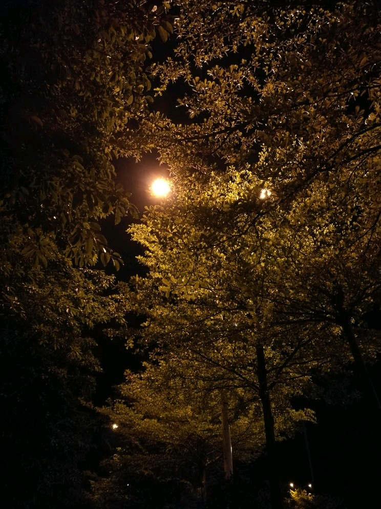 夜晚更迷人感受下夜的美