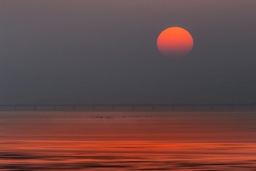 B81P0708-1