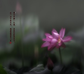 _81P1866-1
