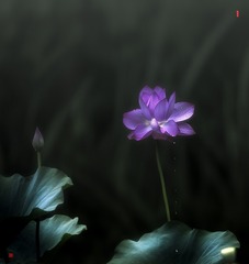 _81P1897-3