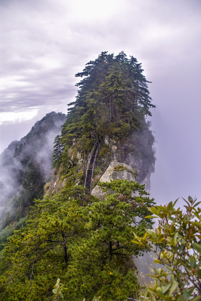 危峰宝天曼骆驼峰云海