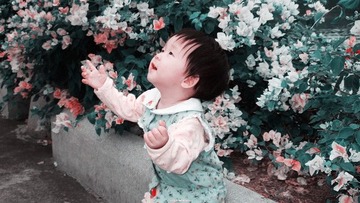 f31试机 010