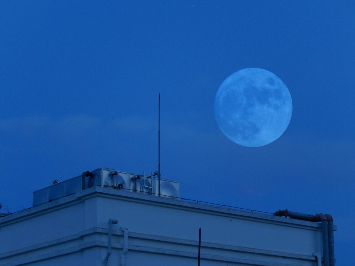 疫情下厦门的屋顶月亮